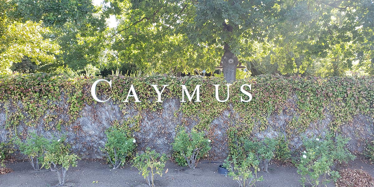 caymus-vineyards-2