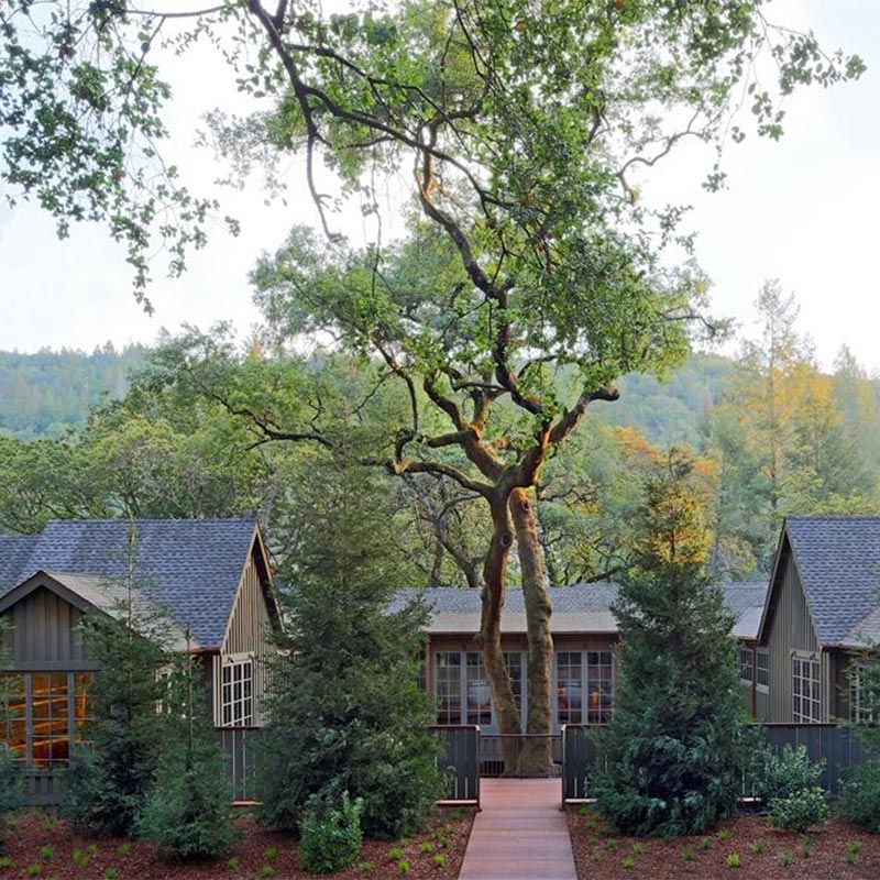 meadowood-napa-valley-1b-featured
