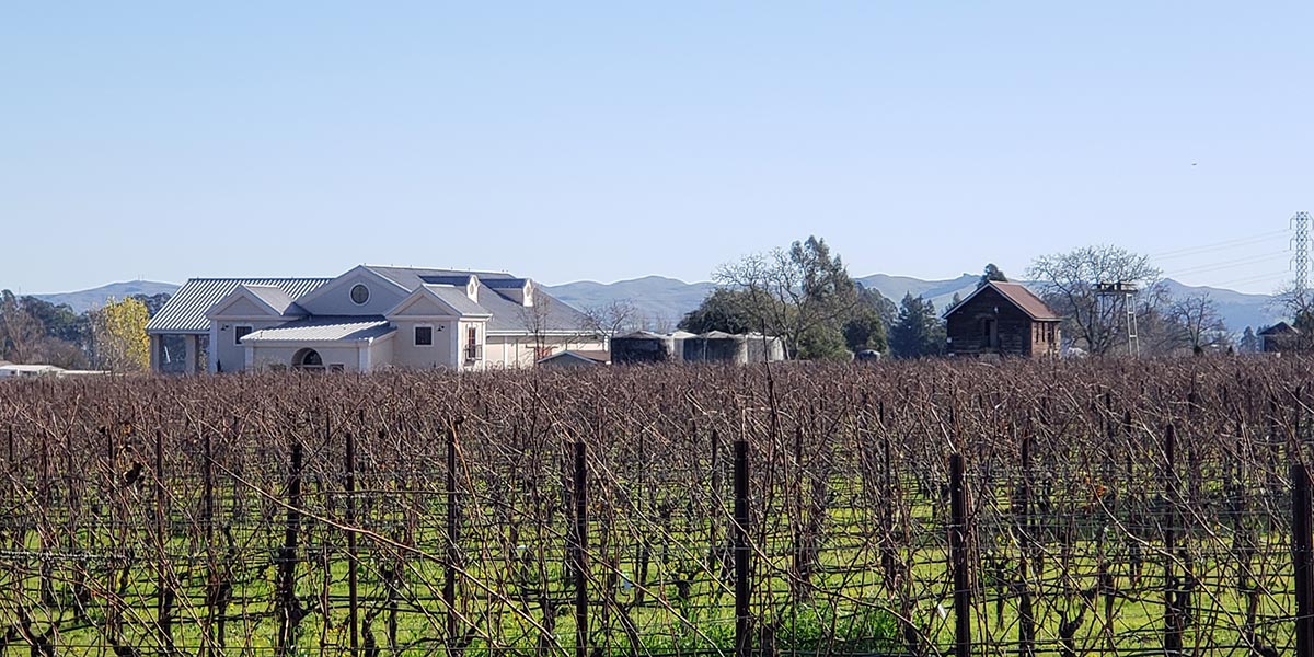 Vineyards at Hyde Estate Winery